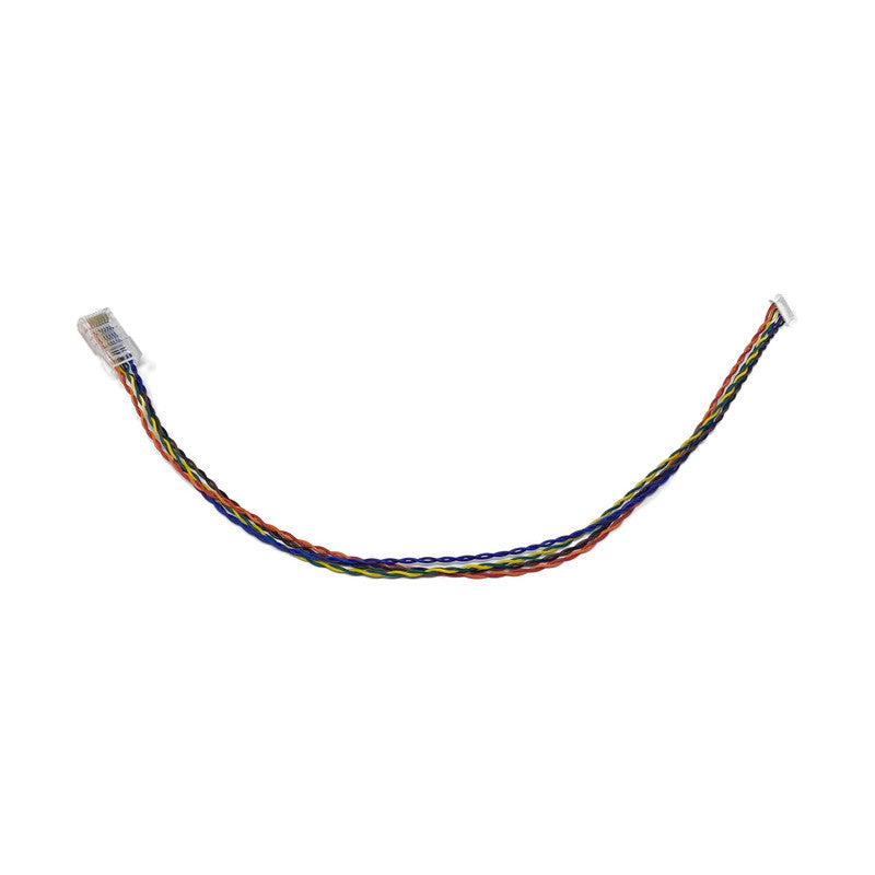 כבל BotBlox Custom PicoClasp ל-RJ45, 8 כיוונים